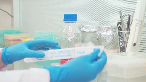 Work on Samples of Substances is Carried Out in the Laboratory