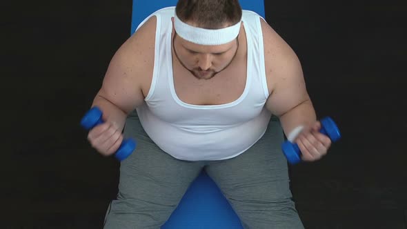 Fat Male Doing Arms Exercises Lifting Dumbbells, Strengthening Body Muscles