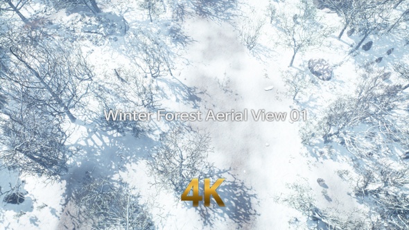 Winter Forest Aerial View 4K 01