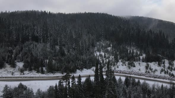 Winter Forest with Road