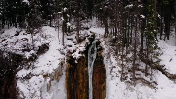 Waterfall  in pine forest close up pulling out snowing