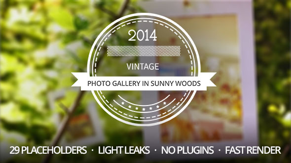 Photo Gallery in Sunny Woods alt