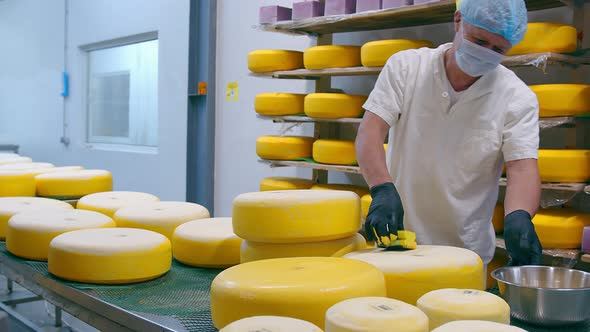 Cheese Production. The Worker Covers the Cheese with Wax. Cheese Factory