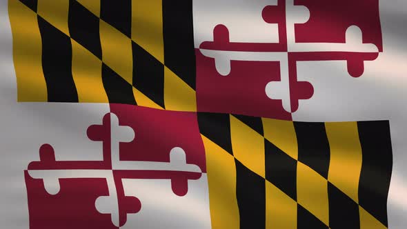 Maryland State Flag Background 4K
