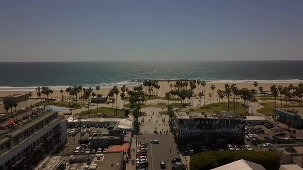 Overview of Venice Beach Skatepark, Basketball Court, Art Wall and palm trees Marvelous aerial view
