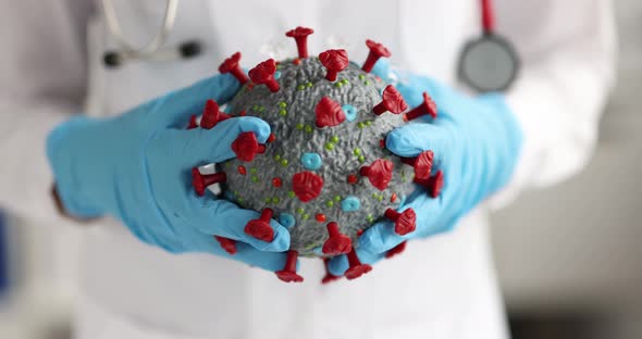 Doctor in Rubber Gloves Holding Artificial Model of Coronavirus Closeup  Movie Slow Motion