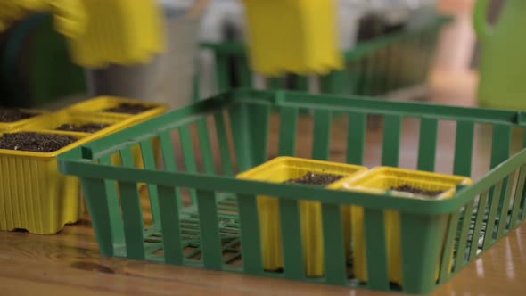 Farmer  puts plastic pots with soil peat and organic fertilizers in garden box