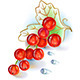Currant Bunch with Leaf - GraphicRiver Item for Sale