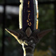sword 01 - 3DOcean Item for Sale