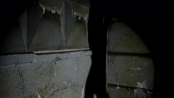 Shadow of Sexy Female Body on Dirty Wall of Basement or Dungeon Bdsm and Sex Role Playing