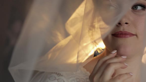 Lovely Portrait of Bride Under Veil. Face Close-up. Pretty Gorgeous Woman. Wedding. Face Close-up.