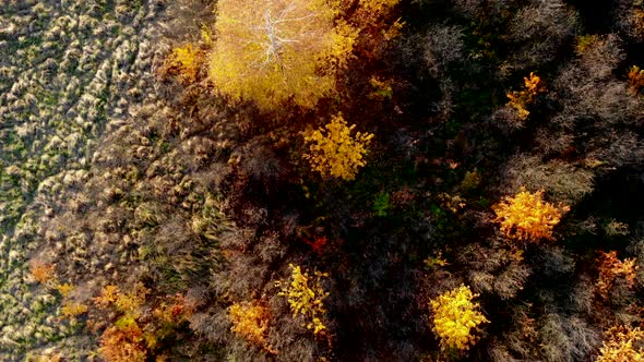 Beautiful, Colorful Woods in Autumn