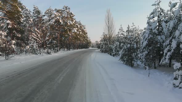 POV of a Car Moving in a Snowy Wooded Area