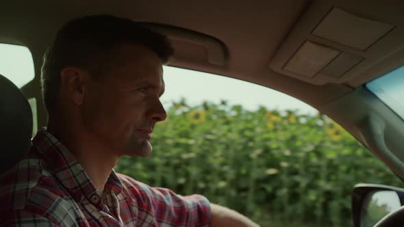 Farmer Driving Sunflower Field Closeup