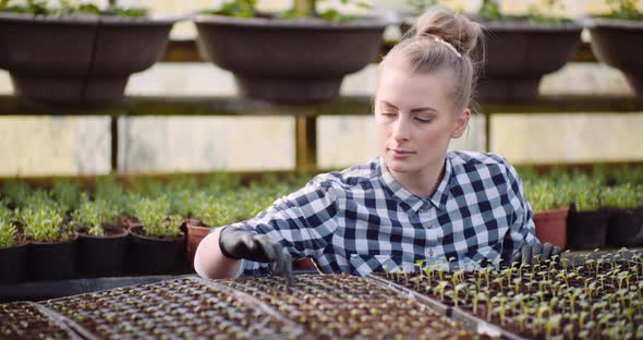 Agriculture - Female Gardener Working with Flowers Seedlings in Greenhouse