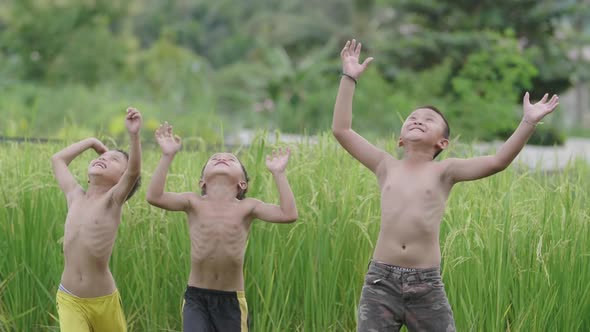 Happy Children In Rice Field