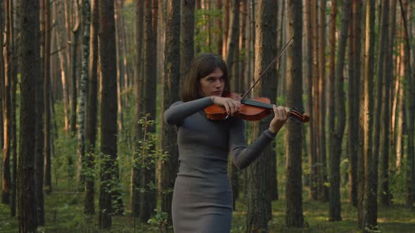 Musician Is Playing Fiddle Among Trees