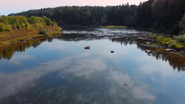 The Drone Flies Over a Mountain River with a Rocky Shore Overgrown with Coniferous Forest