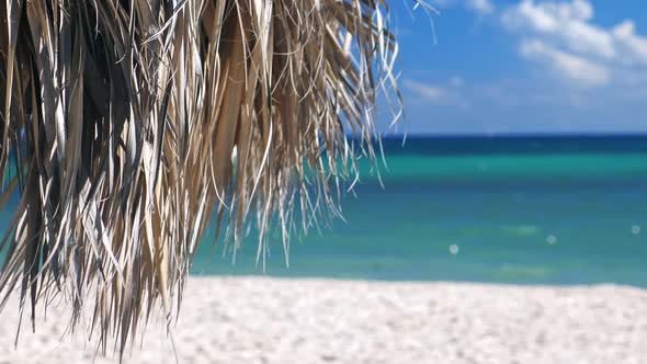 Tropical Seashore with Thatched Palapa