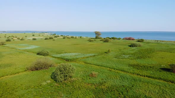 Green meadow from  air