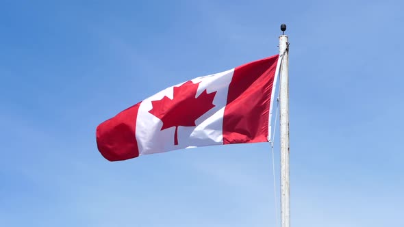 Canadian flag waving against blue sky. Static, low angle, slomo