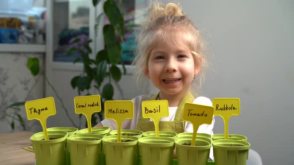 Small Blonde Girl in an Apron Smiles and is Engaged in Planting Seeds for Seedlings of Micro Greens