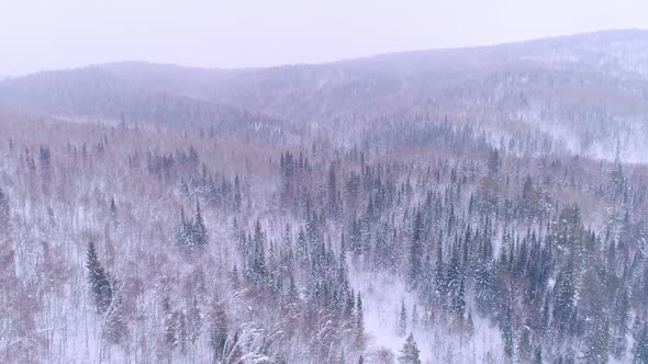 Aerial Video of Mountains and Winter Forest