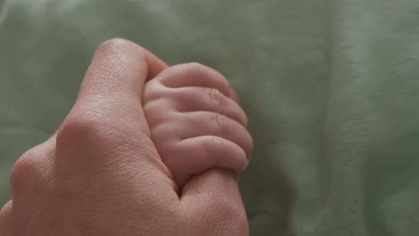 Baby's Little Cute Hand Holds Father's Loving Finger