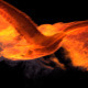 Fire Eagle Transitions (10-Pack) - VideoHive Item for Sale