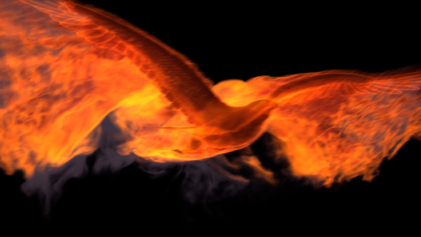 Fire Eagle Transitions (10-Pack) alt