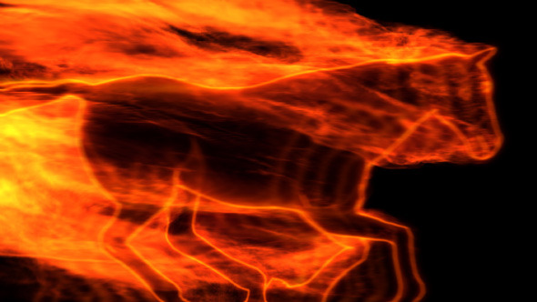 Fire Horse Transitions (18-Pack) alt