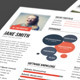  InfoGraphic Style Resume Template - Ver 2 - GraphicRiver Item for Sale