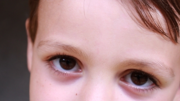 Brown Eyes of a Little Boy 02