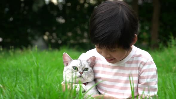 Cute Asian Child Playing With Scottish Cat In The Park