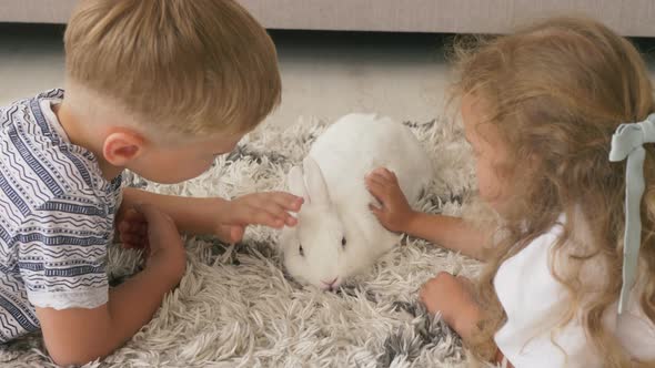 Boy and girl playing with rabbit bunny in living room on a floor