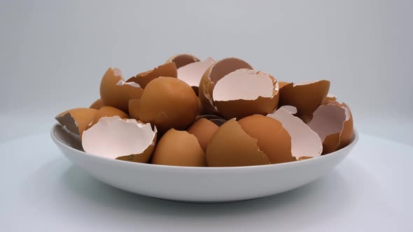 Eggshell