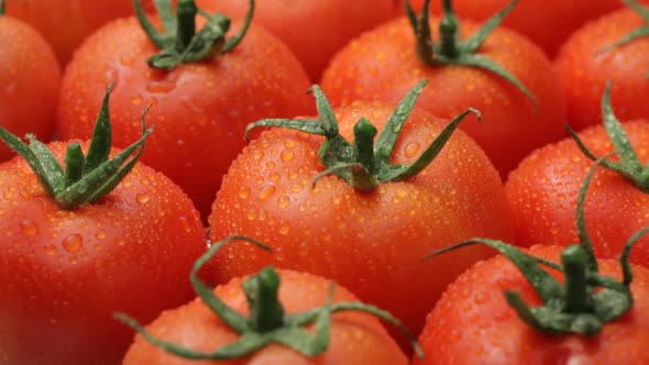 Background of fresh tomatoes