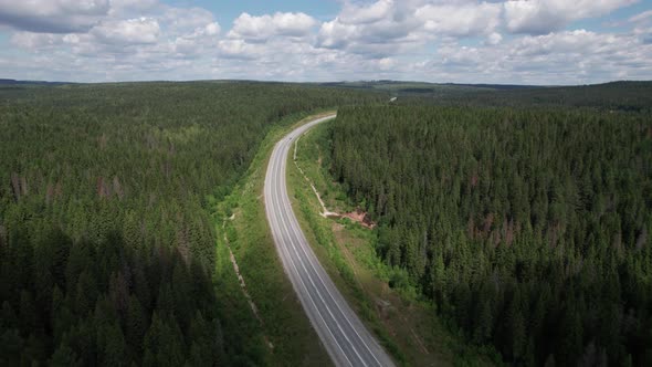 Aerial View of Scenic Road Between Green Trees with Pines on a Sunny Summer Morning