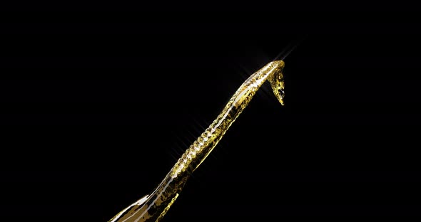 Jet of Dark Beer on a Black Background alt