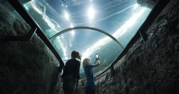 Siblings in the Middle of Clear Tunnel in Oceanarium and Boy Taking Photos