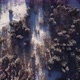 Aerial View of a Frozen Forest with Snow Covered Trees at Winter - VideoHive Item for Sale