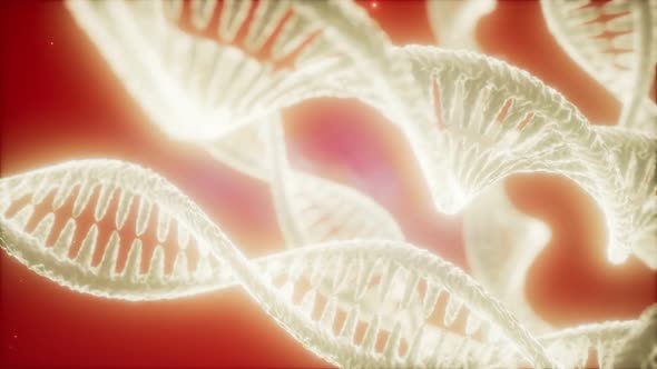 Structure of the DNA Double Helix Animation alt