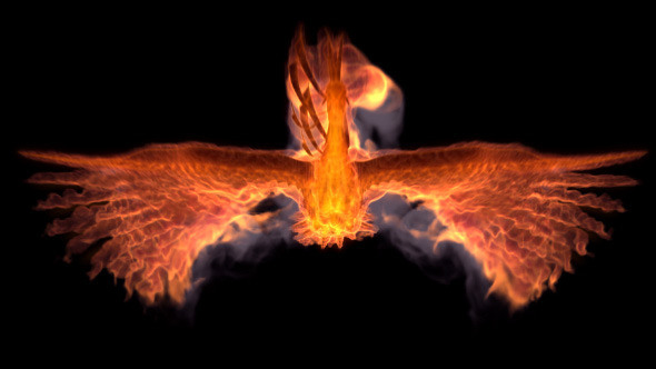 Phoenix Transitions (8-Pack) alt