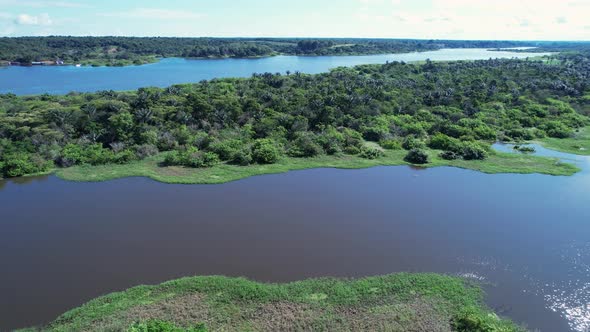 Stunning landscape of Amazon Forest at Amazonas State Brazil.