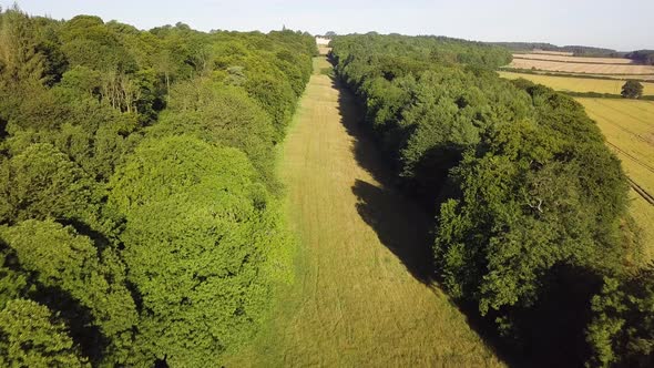 Aerial view of english country side with rows of trees