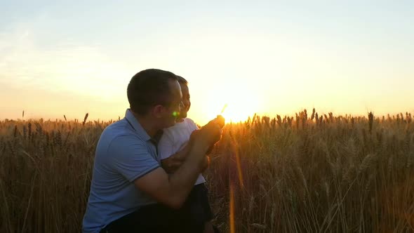 Happy Dad and His Son Are Looking at the Spikelets of Wheat, Being on the Field at Sunset.