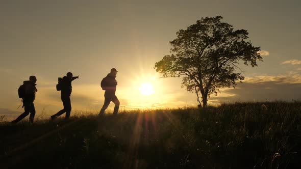 Three Travelers Walk Along Top of Hill Past a Lone Tree in Sun. Teamwork of Tourists with Backpacks