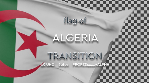 Flag of Algeria Transition | UHD | 60fps