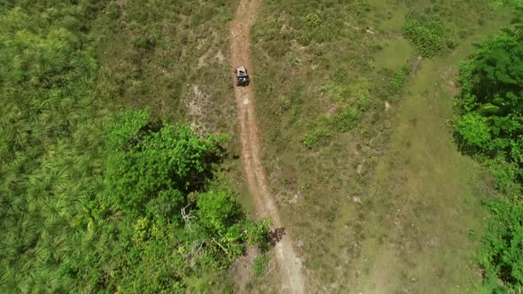 Aerial view of quadricycle doing trail next Chocolate Hills Complex, Batuan.