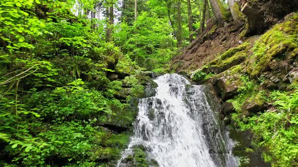 Mountain River Waterfall Flowing Between Rocky Shores in Carpathians Mountains Ukraine